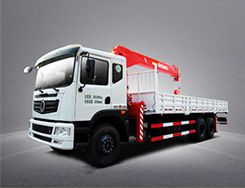 Camion Grue