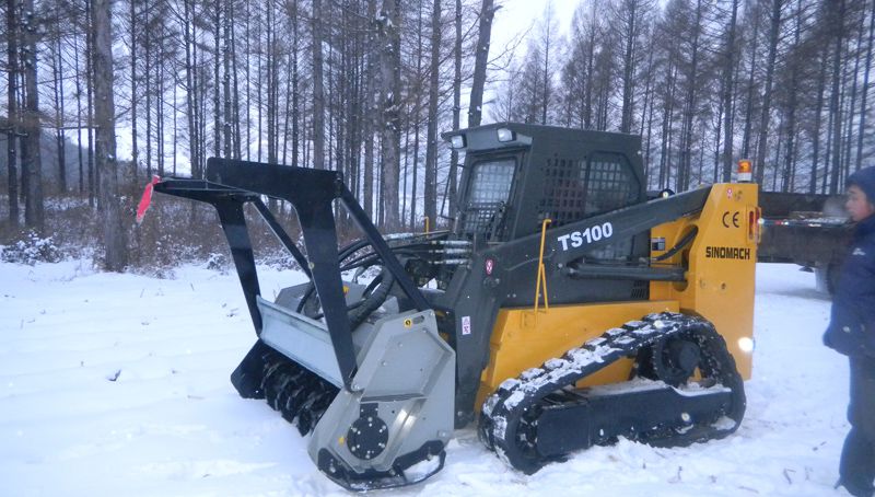 Chargeuse compacte TS100