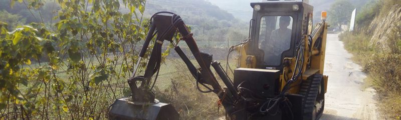Chargeuse compacte TS100